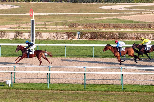 Photo d'arrivée de la course pmu PRIX DE MONDEVILLE à DEAUVILLE le Vendredi 16 décembre 2016