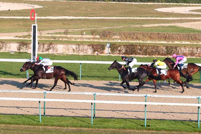Photo d'arrivée de la course pmu PRIX DE GIBERVILLE à DEAUVILLE le Vendredi 16 décembre 2016
