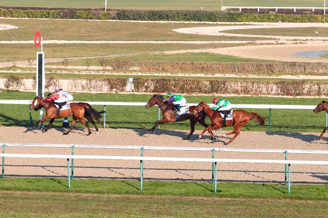 Photo d'arrivée de la course pmu PRIX DES COTTAGES à DEAUVILLE le Vendredi 16 décembre 2016