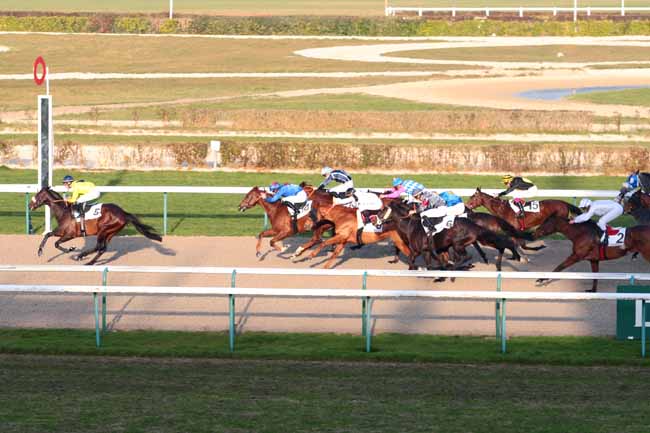 Photo d'arrivée de la course pmu PRIX DE LA TUILERIE à DEAUVILLE le Vendredi 16 décembre 2016