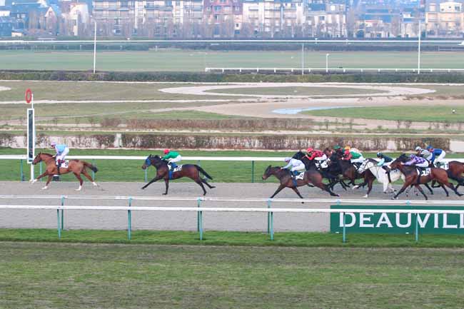 Photo d'arrivée de la course pmu PRIX DE LA BRIQUETERIE à DEAUVILLE le Vendredi 16 décembre 2016