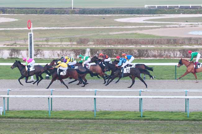 Photo d'arrivée de la course pmu PRIX DE LA VERRERIE à DEAUVILLE le Vendredi 16 décembre 2016