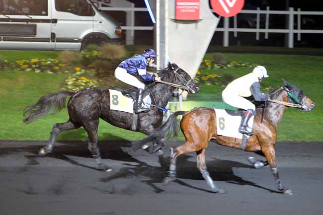 Photo d'arrivée de la course pmu PRIX DE THOUARS à PARIS-VINCENNES le Samedi 17 décembre 2016