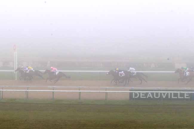 Photo d'arrivée de la course pmu PRIX DE LA GAGNERIE à DEAUVILLE le Samedi 17 décembre 2016