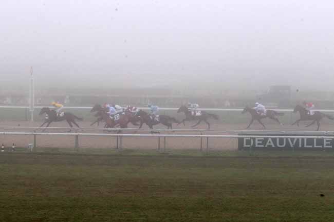 Photo d'arrivée de la course pmu PRIX DE BREHAL à DEAUVILLE le Samedi 17 décembre 2016