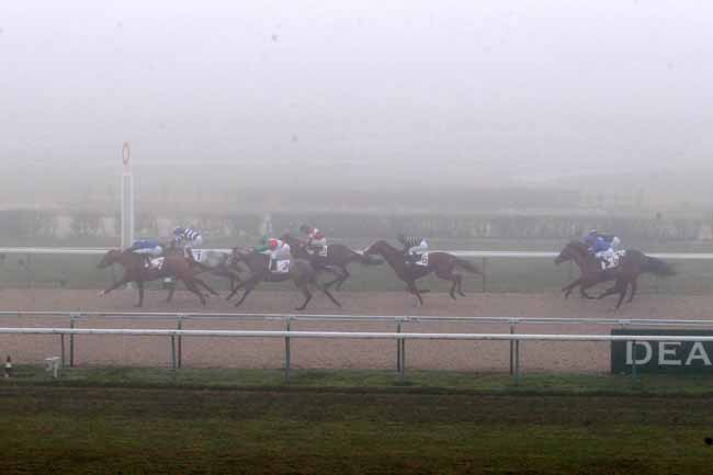 Photo d'arrivée de la course pmu PRIX LUTHIER à DEAUVILLE le Samedi 17 décembre 2016