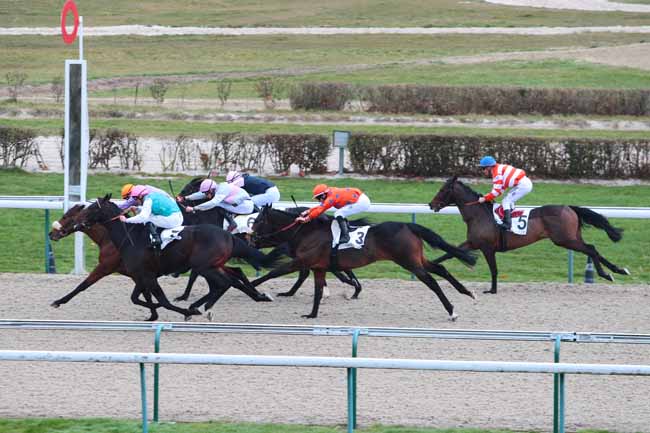 Photo d'arrivée de la course pmu PRIX DE VIMOUTIERS à DEAUVILLE le Lundi 19 décembre 2016