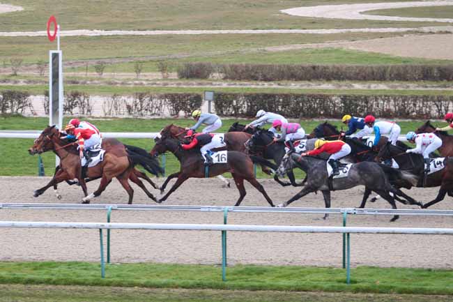 Photo d'arrivée de la course pmu PRIX DU BOCAGE ORNAIS à DEAUVILLE le Lundi 19 décembre 2016