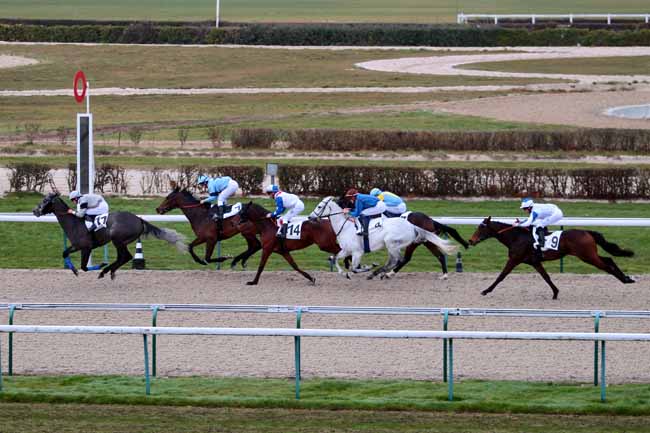 Photo d'arrivée de la course pmu PRIX DE BONNERIE à DEAUVILLE MIDI le Lundi 19 décembre 2016