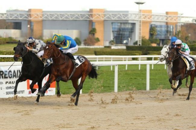 Photo d'arrivée de la course pmu PRIX DE BORDES à PAU le Mercredi 21 décembre 2016