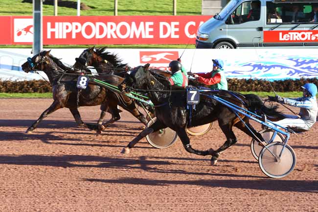 Photo d'arrivée de la course pmu PRIX DES SAPONAIRES à CABOURG le Jeudi 22 décembre 2016