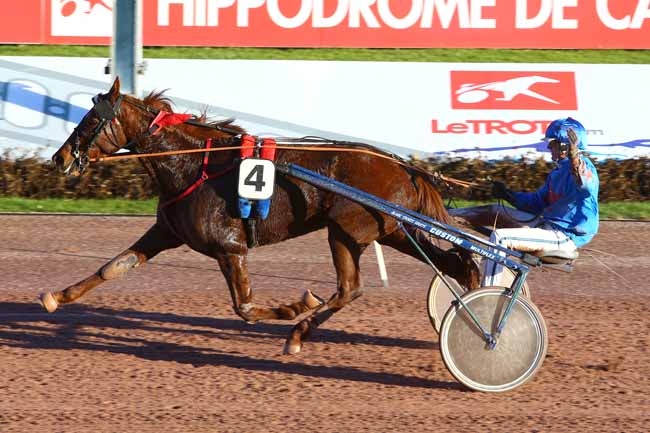 Photo d'arrivée de la course pmu PRIX DES PLATANES à CABOURG le Jeudi 22 décembre 2016
