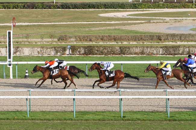 Photo d'arrivée de la course pmu PRIX DE DOUMY à DEAUVILLE le Lundi 26 décembre 2016
