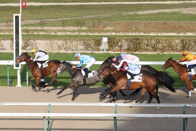 Photo d'arrivée de la course pmu PRIX DU CHATEAU DE BENERVILLE à DEAUVILLE le Lundi 26 décembre 2016