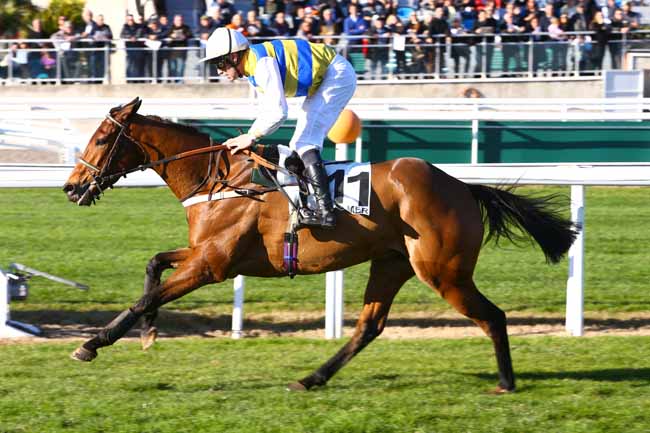 Photo d'arrivée de la course pmu PRIX DE LA PICARDIE à CAGNES-SUR-MER le Mercredi 28 décembre 2016