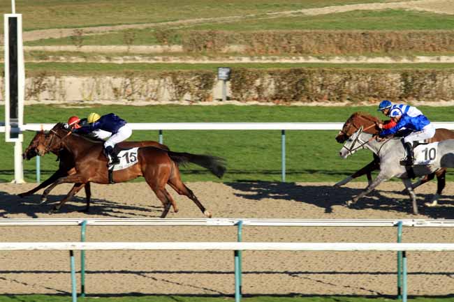 Photo d'arrivée de la course pmu PRIX DE LA PERDRIERE à DEAUVILLE le Mercredi 28 décembre 2016