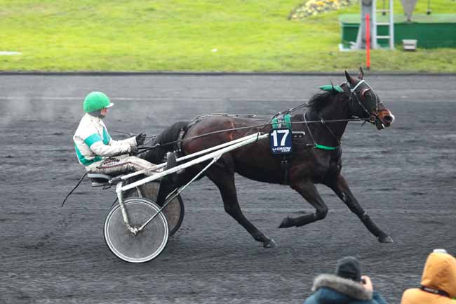 Photo d'arrivée de la course pmu PRIX DE NOZAY à PARIS-VINCENNES le Lundi 2 janvier 2017