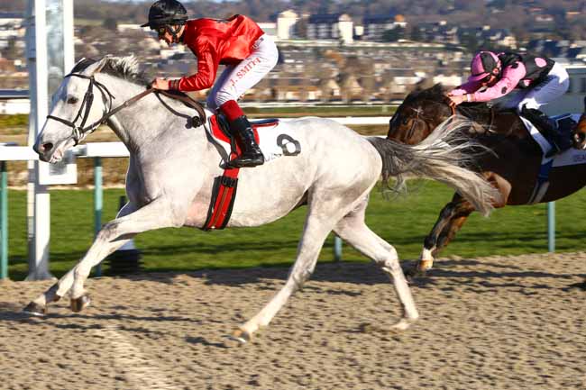 Photo d'arrivée de la course pmu PRIX DES LOGES à DEAUVILLE le Lundi 2 janvier 2017