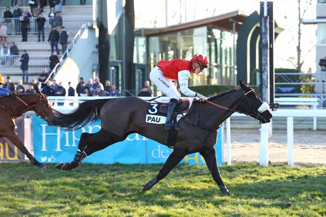Photo d'arrivée de la course pmu PRIX EL TRIUNFO à PAU le Mercredi 4 janvier 2017