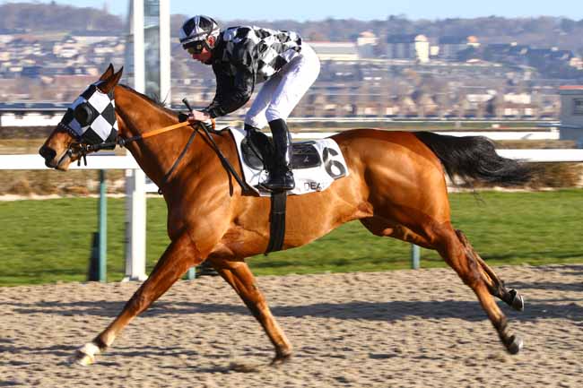 Photo d'arrivée de la course pmu PRIX DE SAINT-JAMES à DEAUVILLE le Jeudi 5 janvier 2017
