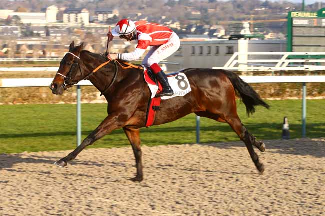 Photo d'arrivée de la course pmu PRIX D'ESSAI à DEAUVILLE le Jeudi 5 janvier 2017