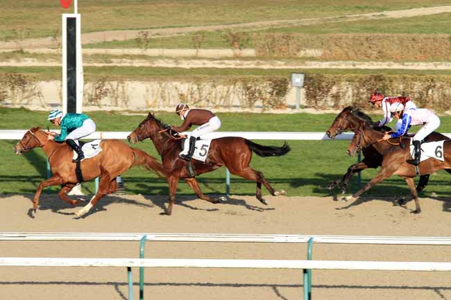 Photo d'arrivée de la course pmu PRIX DU PHARE à DEAUVILLE le Vendredi 6 janvier 2017