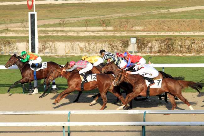 Photo d'arrivée de la course pmu PRIX DE LA VILLA LES BELLES VUES à DEAUVILLE le Vendredi 6 janvier 2017