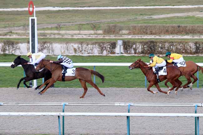 Photo d'arrivée de la course pmu PRIX DE LA JETEE à DEAUVILLE le Vendredi 6 janvier 2017