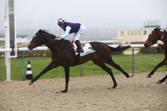 Photo d'arrivée de la course pmu PRIX DU BEAU CERISIER à DEAUVILLE le Samedi 7 janvier 2017