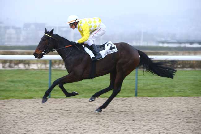 Photo d'arrivée de la course pmu PRIX DU BOIS AMIOT à DEAUVILLE le Samedi 7 janvier 2017