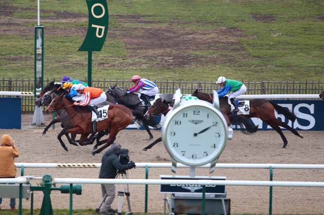 Photo d'arrivée de la course pmu PRIX DE LA ROUTE D'AUTEUIL à CHANTILLY le Lundi 16 janvier 2017