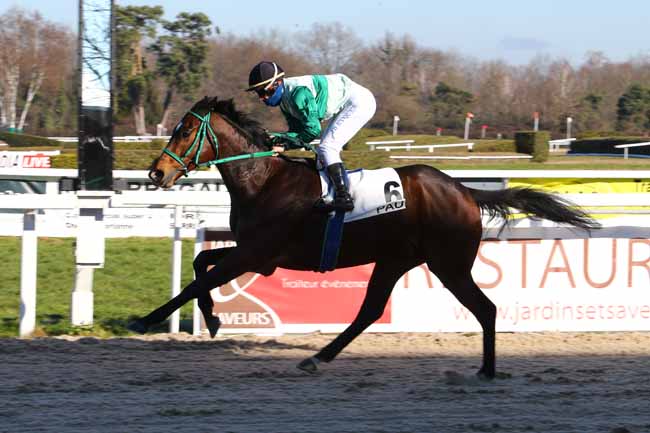Photo d'arrivée de la course pmu PRIX D'ARTOUSTE à PAU le Mardi 17 janvier 2017
