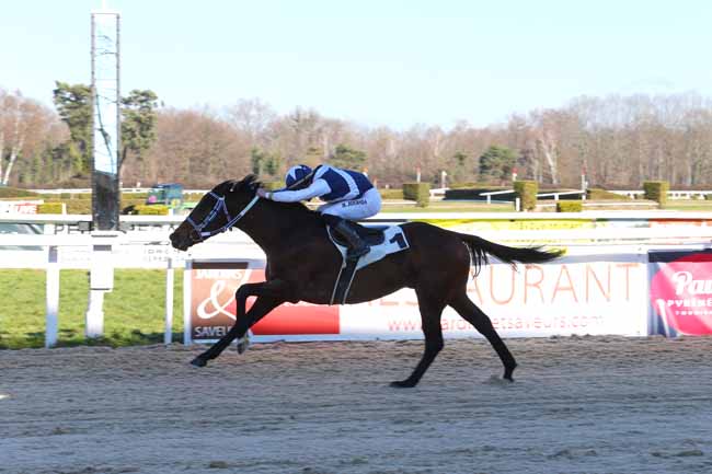 Photo d'arrivée de la course pmu PRIX DE BARDOS à PAU le Mardi 17 janvier 2017