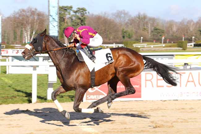 Photo d'arrivée de la course pmu PRIX BELLABRE à PAU le Mardi 17 janvier 2017