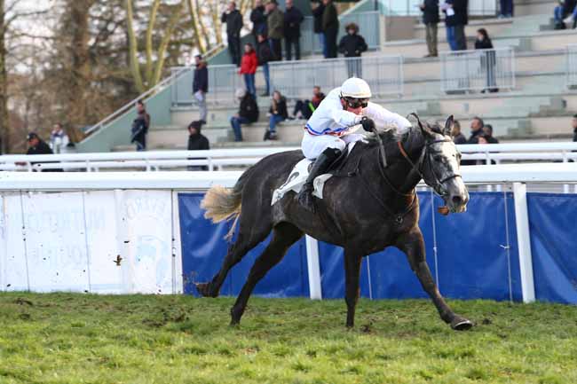 Photo d'arrivée de la course pmu PRIX EMILE LALANNE à PAU le Mardi 17 janvier 2017