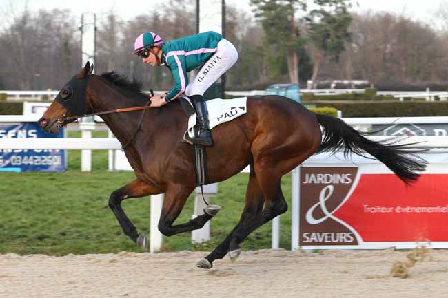 Photo d'arrivée de la course pmu PRIX DE MONTAUT à PAU le Mardi 17 janvier 2017
