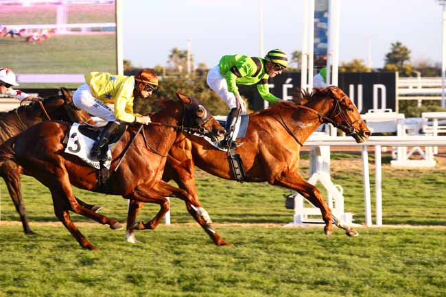 Photo d'arrivée de la course pmu PRIX DE LA CROISETTE à CAGNES-SUR-MER le Mercredi 18 janvier 2017