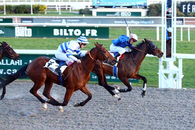 Photo d'arrivée de la course pmu PRIX DE LA PROMENADE DU PAILLON à CAGNES-SUR-MER le Mercredi 18 janvier 2017