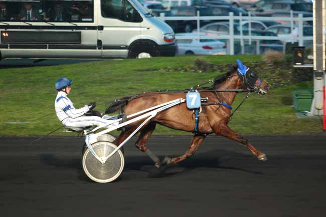 Photo d'arrivée de la course pmu PRIX DU LION D'ANGERS à PARIS-VINCENNES le Dimanche 22 janvier 2017