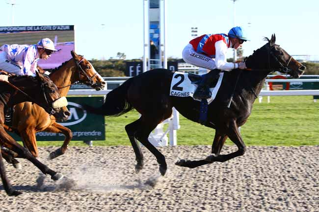 Photo d'arrivée de la course pmu PRIX YVES BACHELIER à CAGNES-SUR-MER le Mardi 24 janvier 2017