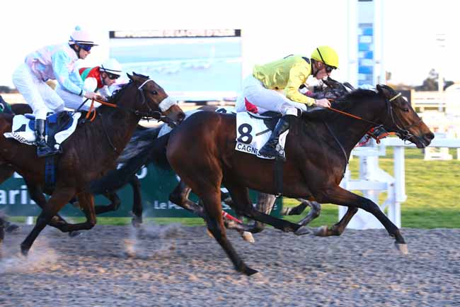 Photo d'arrivée de la course pmu PRIX DE LA CANEBIERE à CAGNES-SUR-MER le Mardi 24 janvier 2017