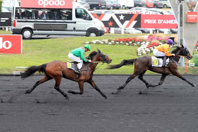 Photo d'arrivée de la course pmu PRIX CAMILLE BLAISOT à PARIS-VINCENNES le Dimanche 29 janvier 2017