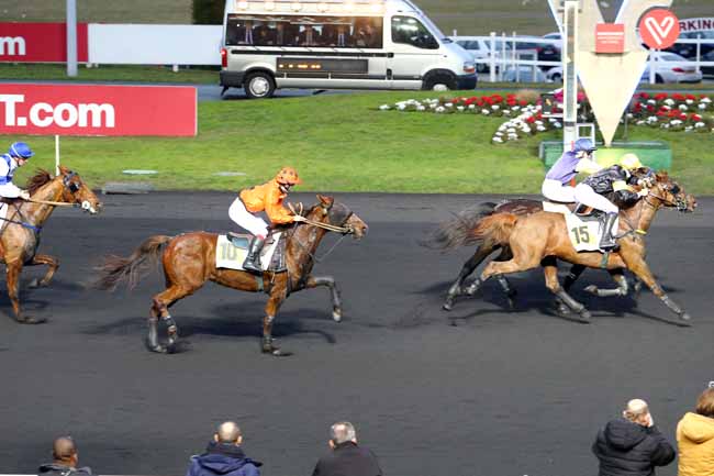 Photo d'arrivée de la course pmu PRIX DE FAVEROLLES à PARIS-VINCENNES le Lundi 30 janvier 2017