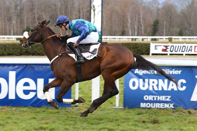 Photo d'arrivée de la course pmu PRIX HARRY LA MONTAGNE à PAU le Vendredi 3 février 2017