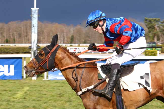 Photo d'arrivée de la course pmu PRIX GUY LEFRANT à PAU le Vendredi 3 février 2017
