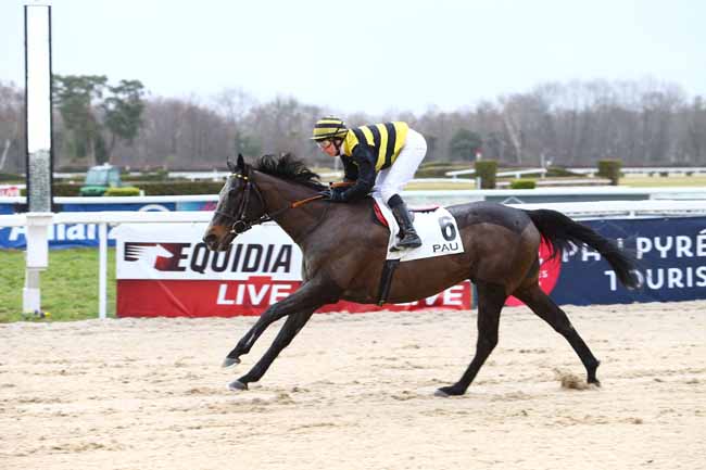 Photo d'arrivée de la course pmu PRIX DE RONTIGNON à PAU le Vendredi 3 février 2017