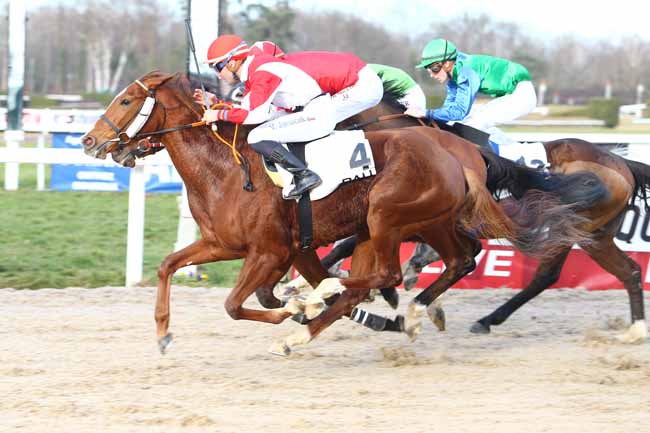 Photo d'arrivée de la course pmu PRIX DE SEVIGNACQ à PAU le Vendredi 3 février 2017
