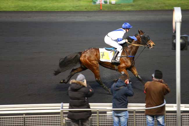 Photo d'arrivée de la course pmu PRIX DE DAUMESNIL à PARIS-VINCENNES le Samedi 4 février 2017