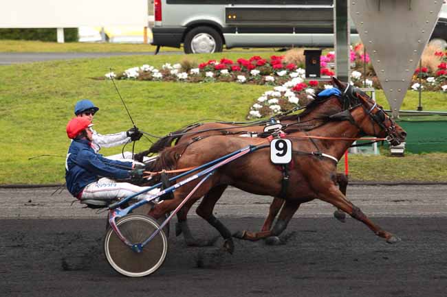 Photo d'arrivée de la course pmu PRIX DES CHARENTES à PARIS-VINCENNES le Lundi 6 février 2017