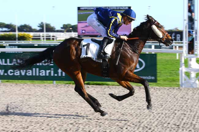 Photo d'arrivée de la course pmu PRIX DES CROCUS à CAGNES-SUR-MER le Mercredi 15 février 2017